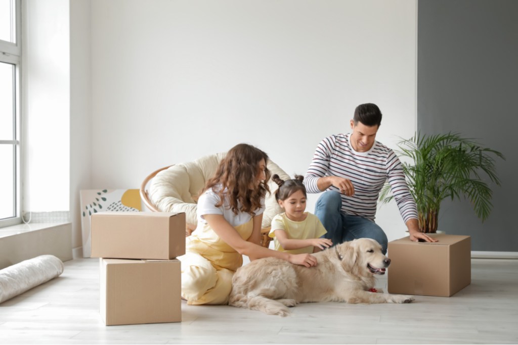 Moving Pets